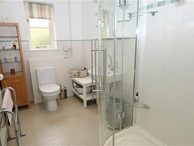Picture 24